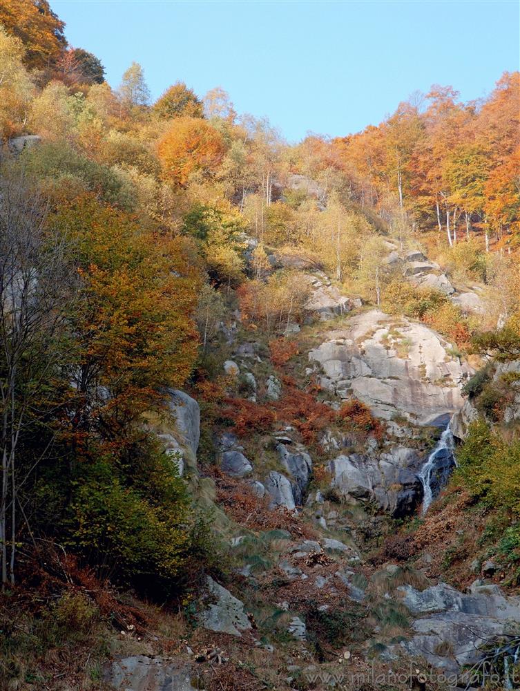 Piaro (Biella, Italy) - Multicolord autumn woods